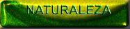Link-Naturaleza