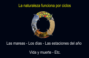 CICLOS