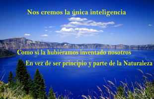 CIRCULOSyENIGMA