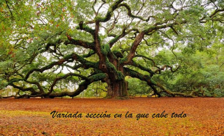 CICLOS