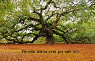 CICLOS