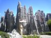 Bosque de Piedra