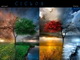 Ciclo actual - video