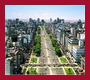 Link-Politica y sociedad