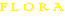 Flora